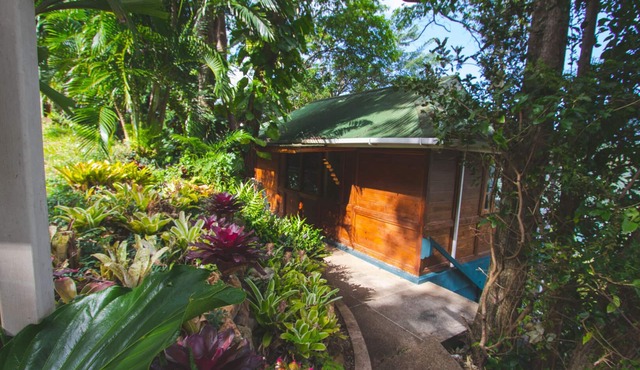 Secluded Hillside Cottage with Bay & Rainforest Views, Just 5 Mins to the Beach