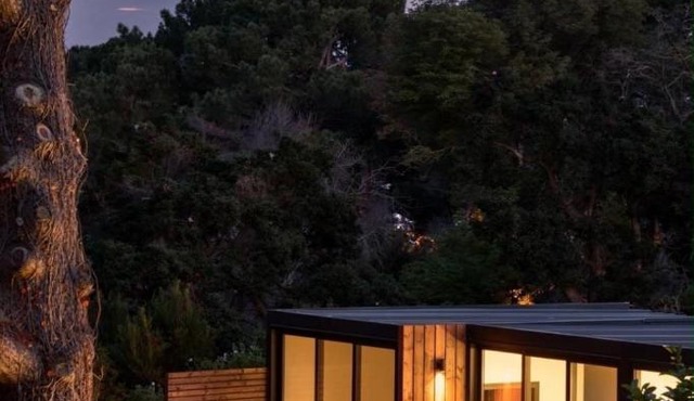 Serene Garden Cottage,Constantia Mountain View