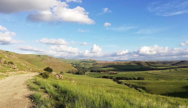 Sheeprun Farmstay