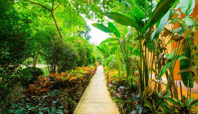 Sinatara Resort