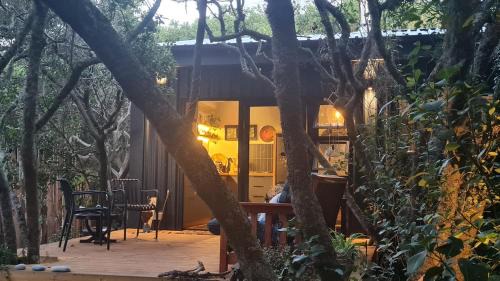 Singbos, Forest Cabin in Kleinbaai