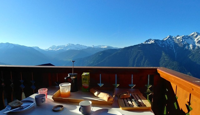 SKI IN SKI OUT BALCONY SOUTH WIFI DUPLEX 8-10 PEOPLE BISANNE 1500 LES SAISIES