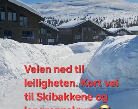 Ski in Ski out Trysil in the mountain of Norway 60m from the Slopes