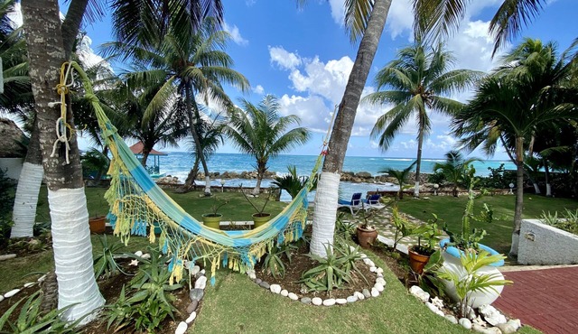 SPECTACULAR OCEAN FRONT VIEW, WI FI, POOL, AC, PRIVATE SWIMMING AREA, SECURITY