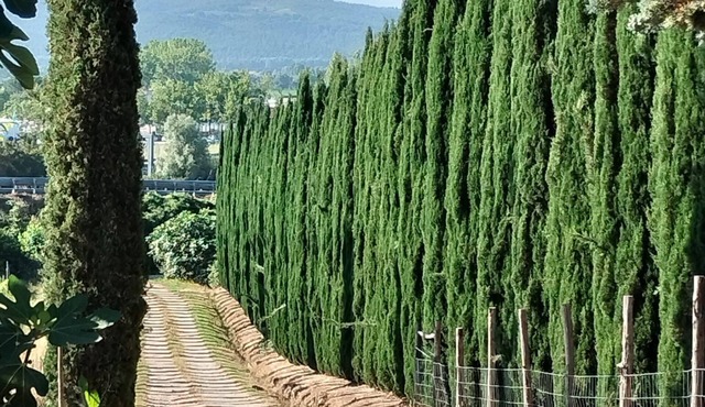 Stay in the countryside a stone's throw from the spa