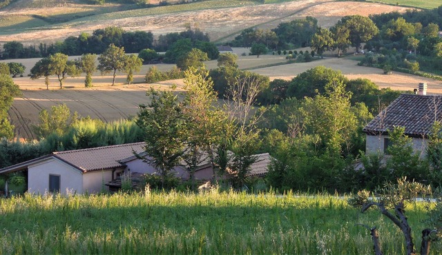 Straw bale house on Demeterhof, near the sea, natural pool