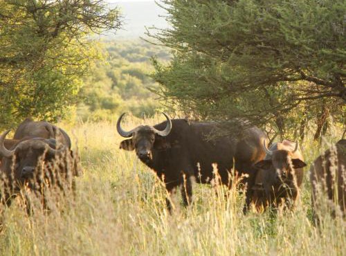 Stroomrivier Lodge