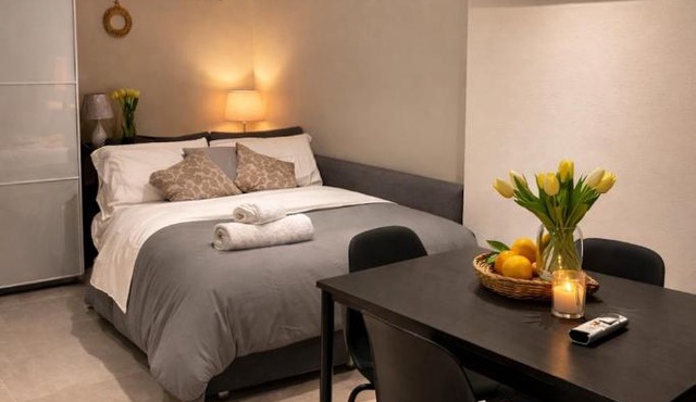 Studio in the Heart of Piacenza Piazza Cavalli