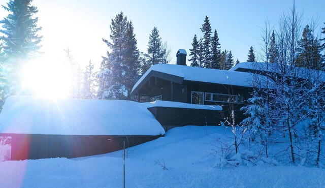 Stunning home in Trysil with sauna