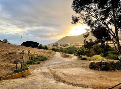 Swaynekloof Farm
