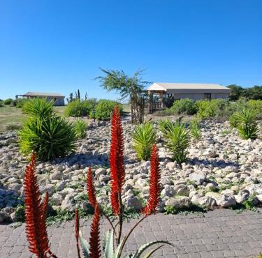 Thali Thali Game Lodge