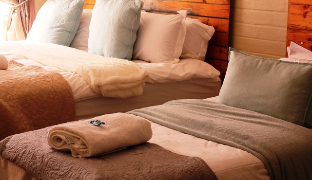 The-Ark B & B