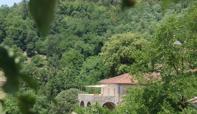 the Canonica: a perfect base to discover and experience Liguria.