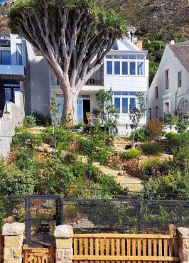 The Dragon Tree Guesthouse