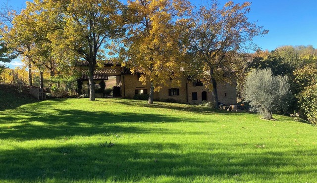 The House of Stones