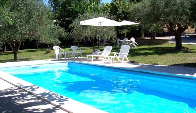 The Mulberry in Solebello