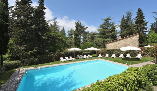 Timo, Castellare in Chianti, Gaiole in Chianti, Siena and Chianti