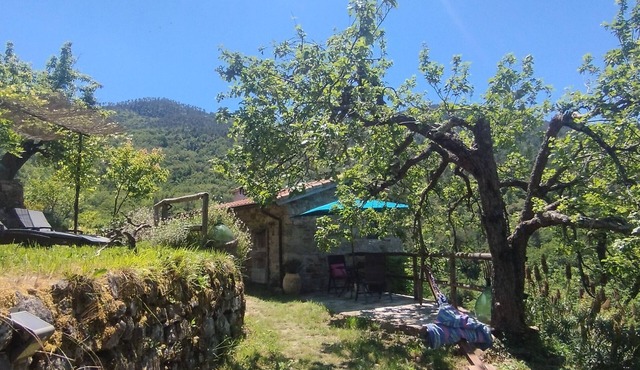 Tiny Rustico CASA LUCERTOLA with outdoor kitchen & pool. Pets welcome!