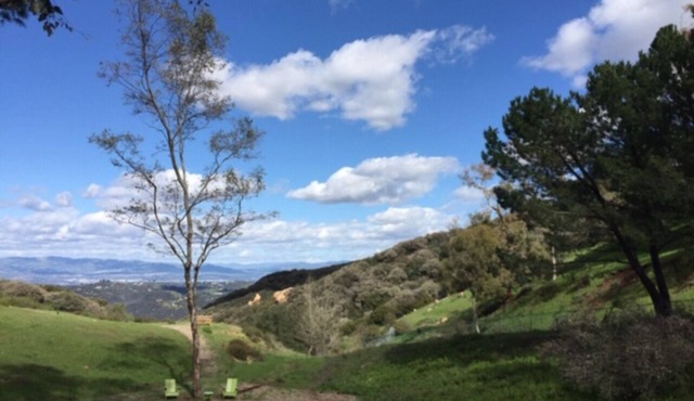Topanga Mountain Paradise - a dream getaway