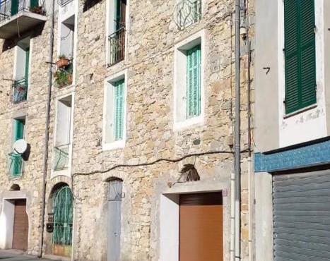 Torri Amori