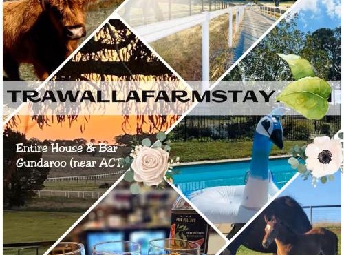 Trawalla Farm Stays - Entire House and Large Pool Bar - Perfect for Groups