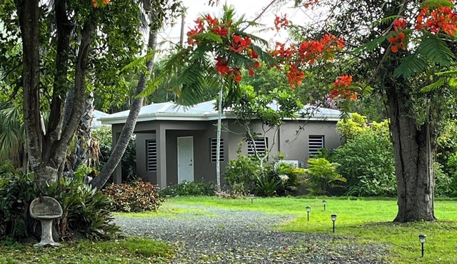 Tropical Studio on Historical Property - Centrally Located Everything St. Croix!