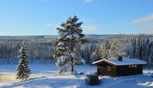 Trysil Hyttegrend