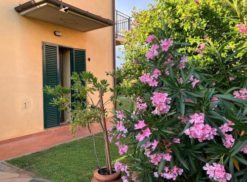 Tuscan Charm Spacious Florence Home