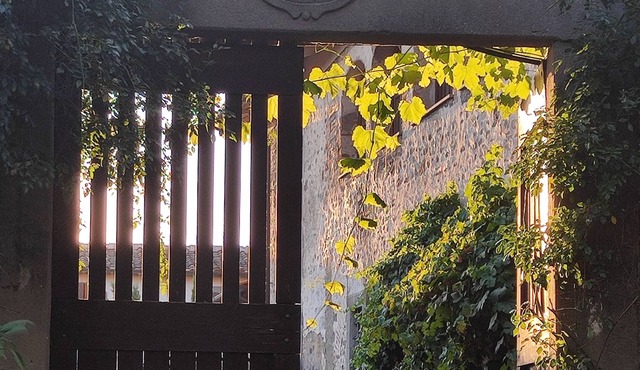 Typical house in Tuscany country, in the nature, only 40' to Florence