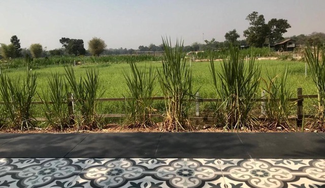 Udon Farm Fun Homestay with swimming pool