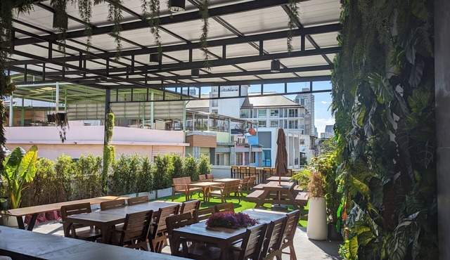 Urban Jungle Hostel