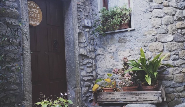 Vacation home Carole at the foot of the castle in the village of Verrucola di Fivizzano