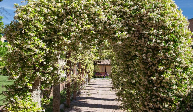 Villa Borri Terme