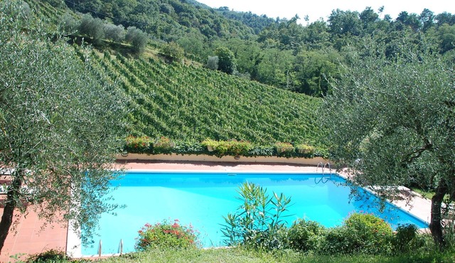 Villa La Falterona 15 km. from Florence