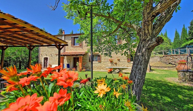 Villa Luciano - Holiday Country Villa in Arezzo
