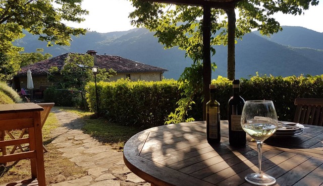 Villa + pool near Florence. La Casaccia . Sleeps 6+ 1 baby. Peace and views