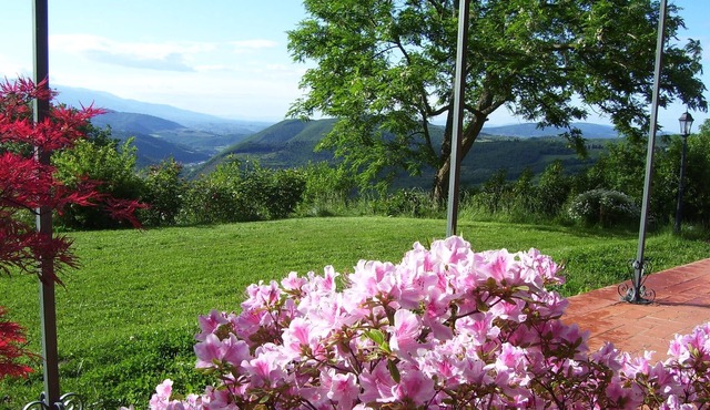 Villa Torre di Colonne Historic House, (XI - XV C) genuine italian hospitality