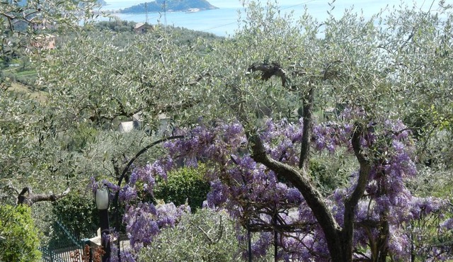 villa vista mare