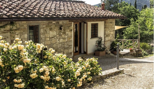 Vineyard cottage, 30 minutes to Florence