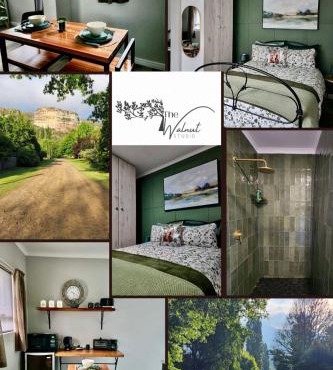 Walnut Studio
