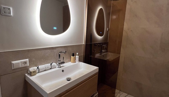 Wellness-Loft: sauna, jacuzzi& cinema. Centrally located near the station