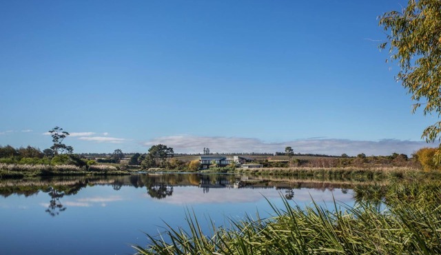 Where wine meets the sky- Elgin's finest private estate