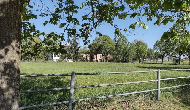 "White House" to discover a territory