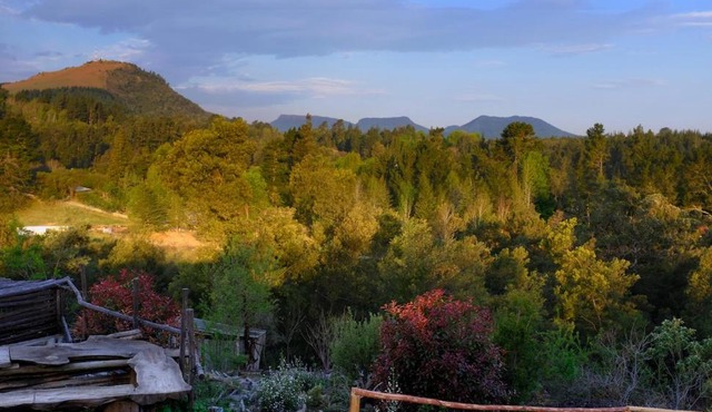 Wild Fox Hill