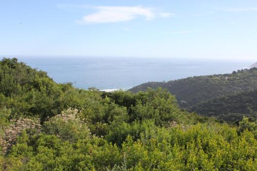 WILDERNESS SEASIDE ESCAPE