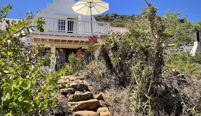Windrose With Perfect Seaview