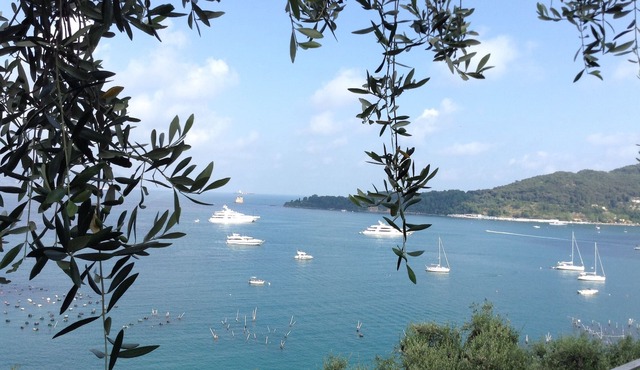 Woh! " What a Gorgeous View"