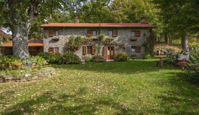 Wonderful private villa for 7 guests with private pool, WIFI, TV, terrace and pets allowed