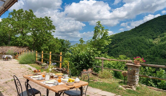 Wonderful villa for 6 people with WIFI, private pool, TV and panoramic view, close to Florence