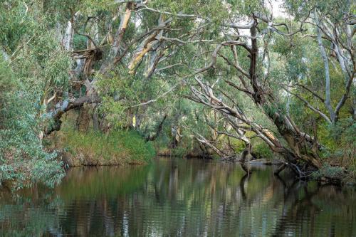 Zamenhof River Cabin - Peaceful Farm Escape - Pets Welcome